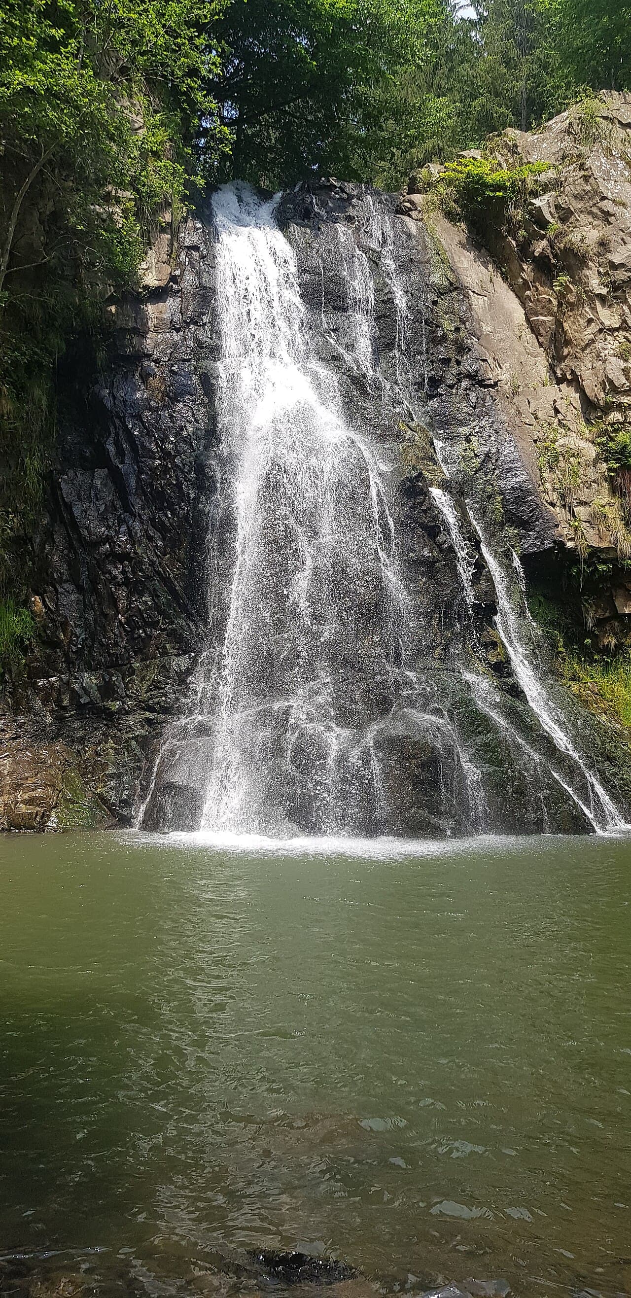 Cascada Buciaș