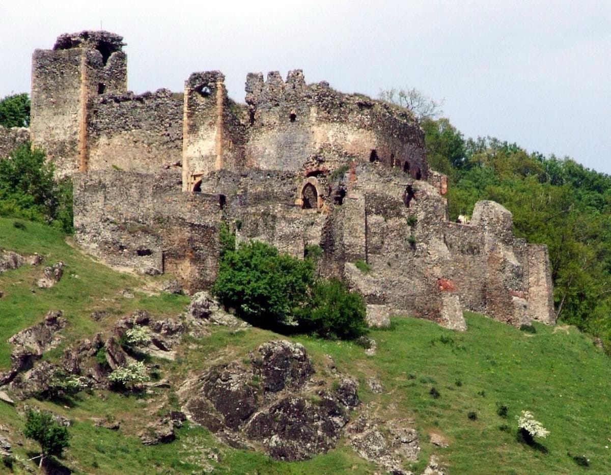 Cetatea Șoimoș