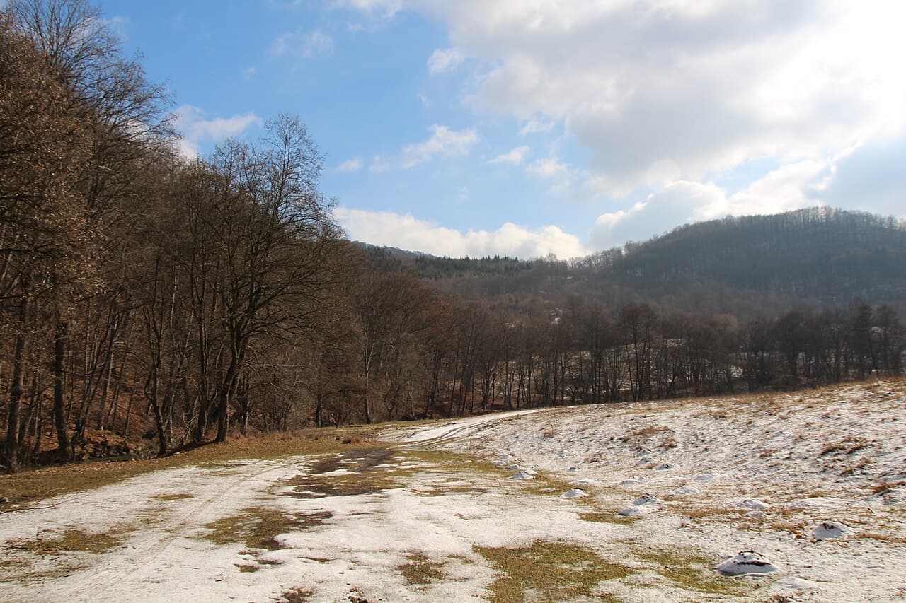 Cheile Vârghișului