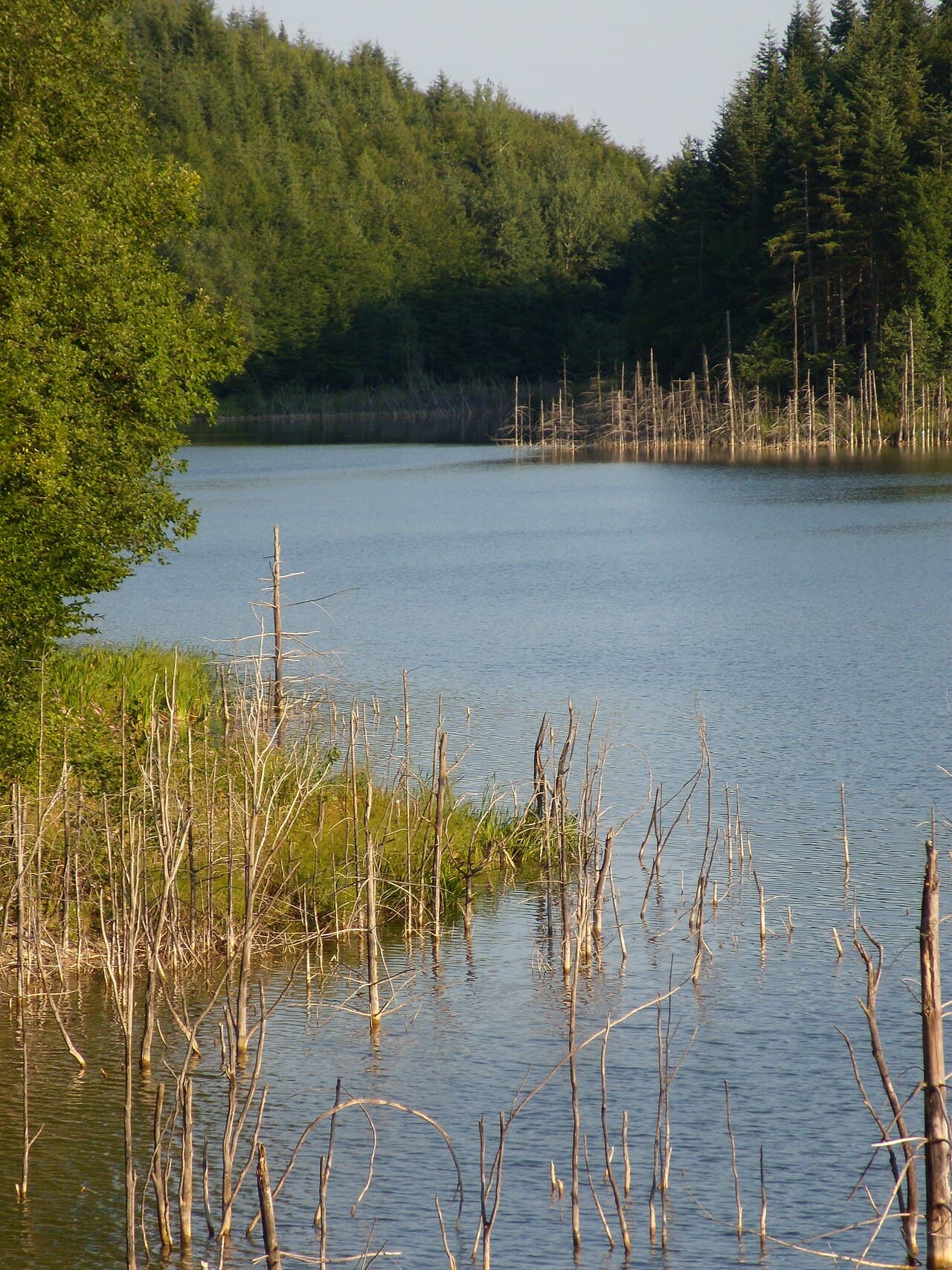 Lacul Cuejdel