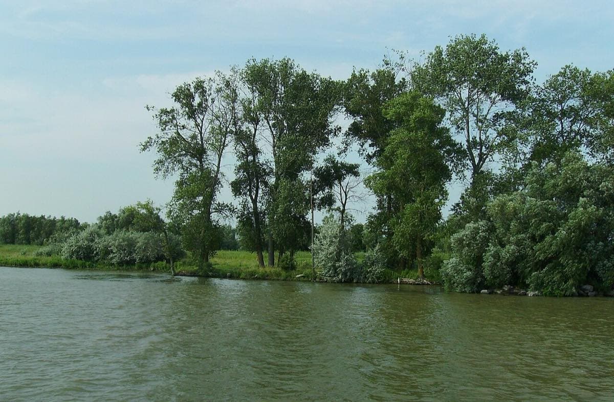 Pădurea Letea