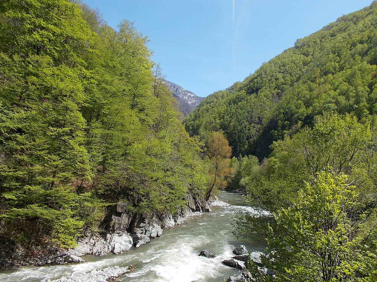 Rafting prin Defileul Jiului