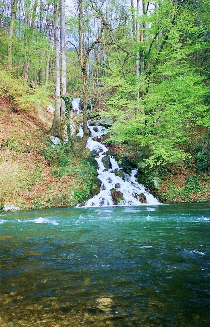Vârful Domogled